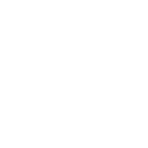IceBreakers